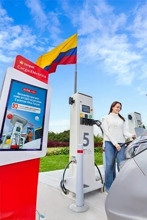 CargaElectrica.webp